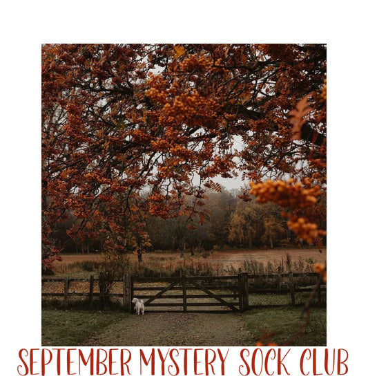 Mystery Sock Club- September