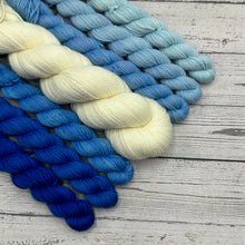 Load image into Gallery viewer, Delphinium/Cornflower Fade Mini Set
