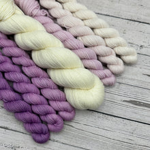 Load image into Gallery viewer, Lucky Lavender Fade Mini Set
